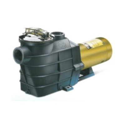 Bơm nhựa Super II công suất 1-3Hp Hayward – USA